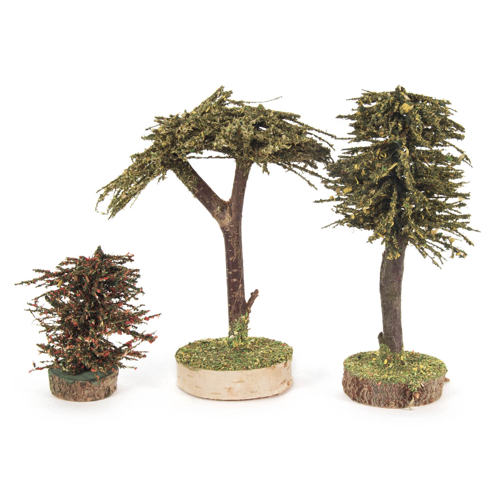 Drei Modellbäume, jeder unterschiedlich geformt und in verschiedenen Größen, stehen nebeneinander auf runden Holzbasen mit Grasfasern dekoriert. im Dregeno Online Shop günstig kaufen