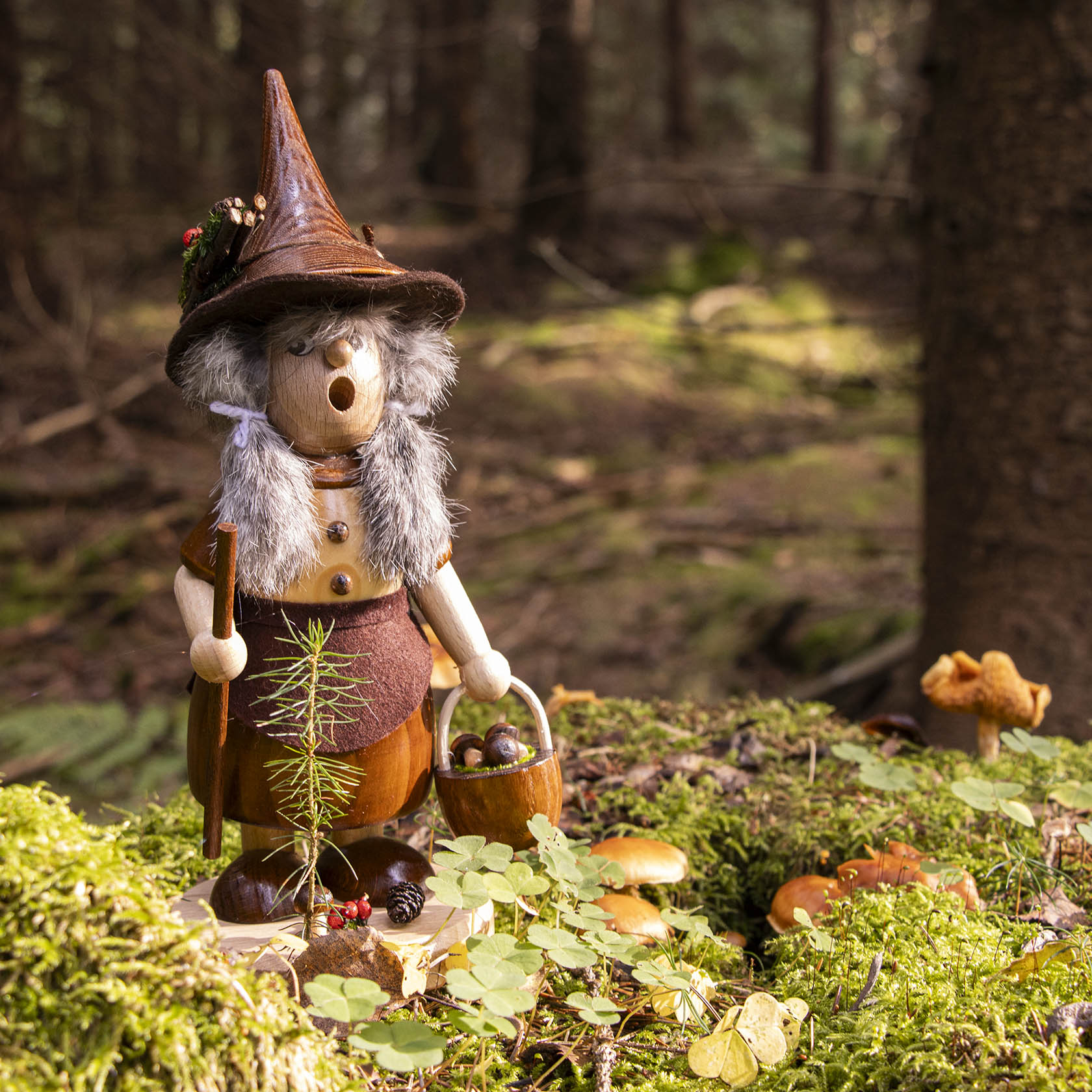 Holzwichtel im Wald mit spitzem Hut und grauem Bart hält Pilze in einem Korb.