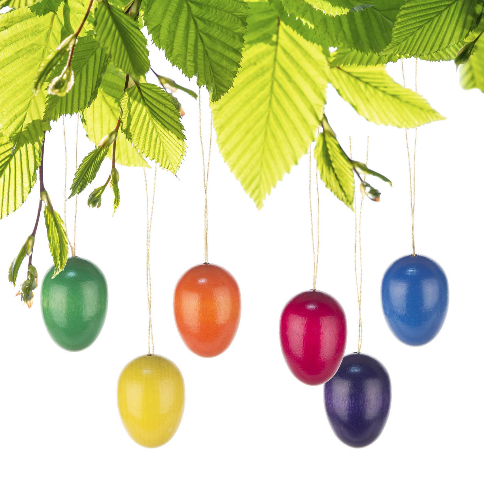 Sechs einfarbige Ostereier in Grün, Türkis, Orange, Rot, Violett und Blau hängen an Zweigen mit grünen Blättern.