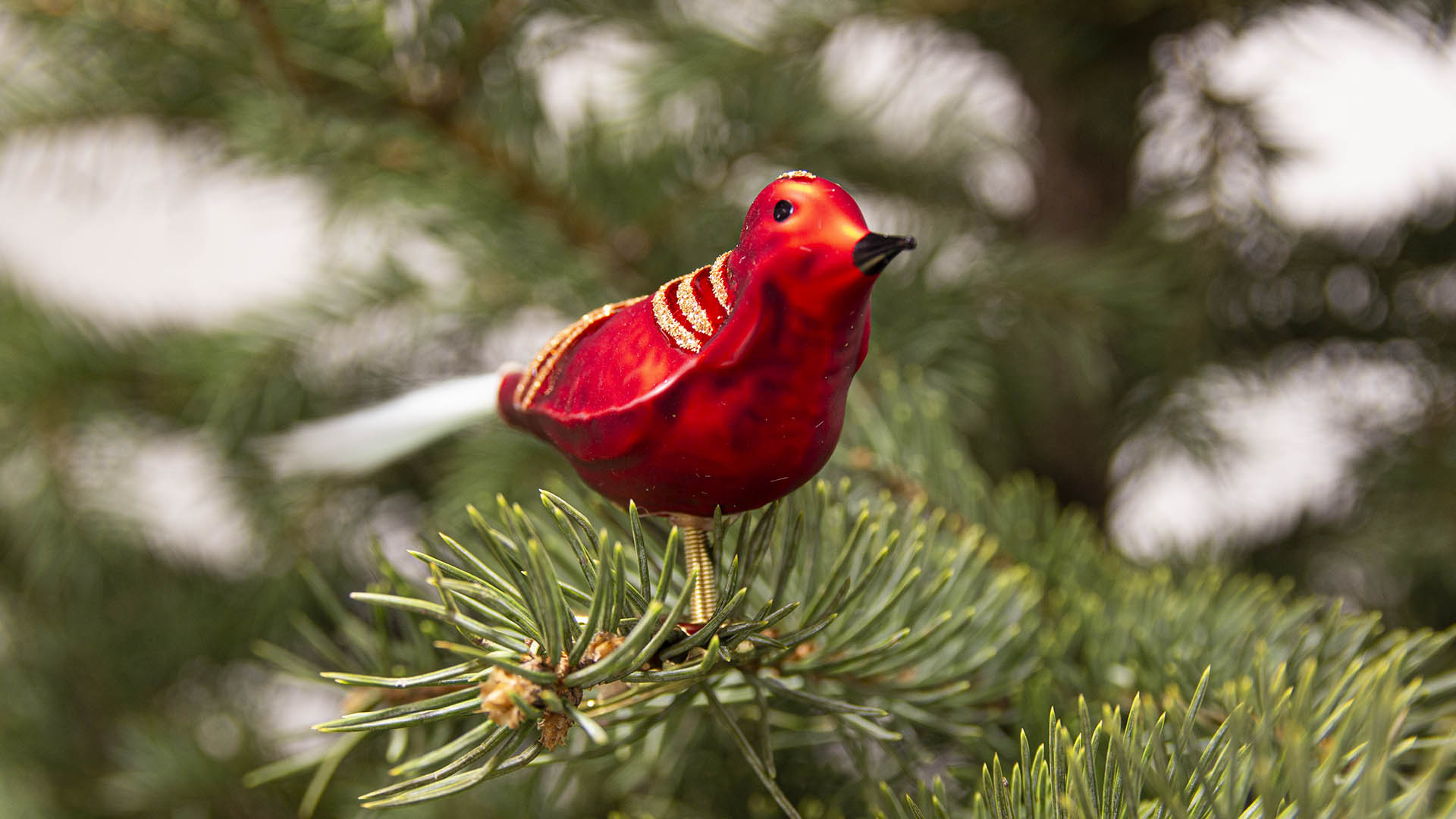 Baumschmuck Vogel aus Thüringer Glas