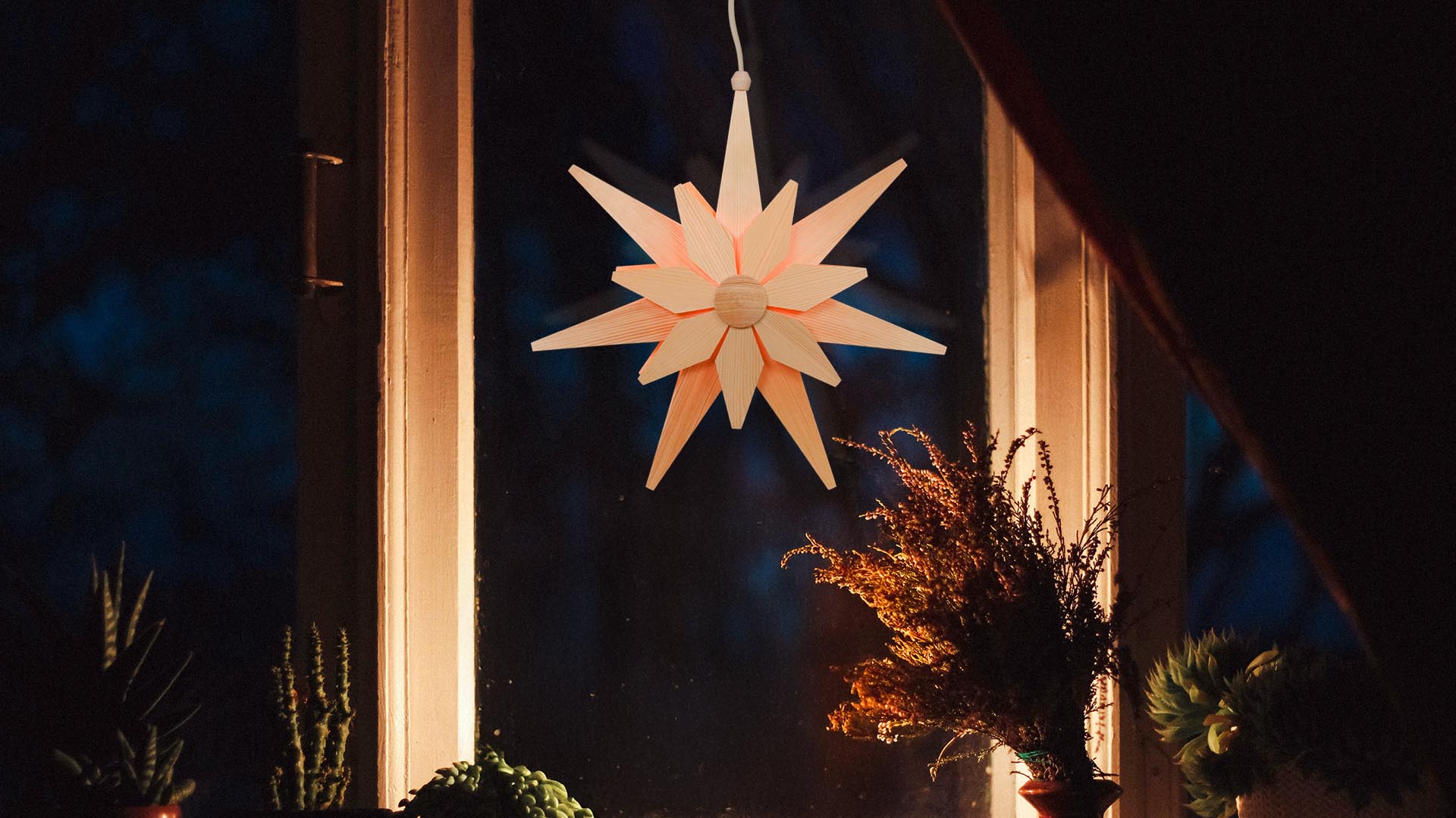 Elektrischer Fensterstern in natur