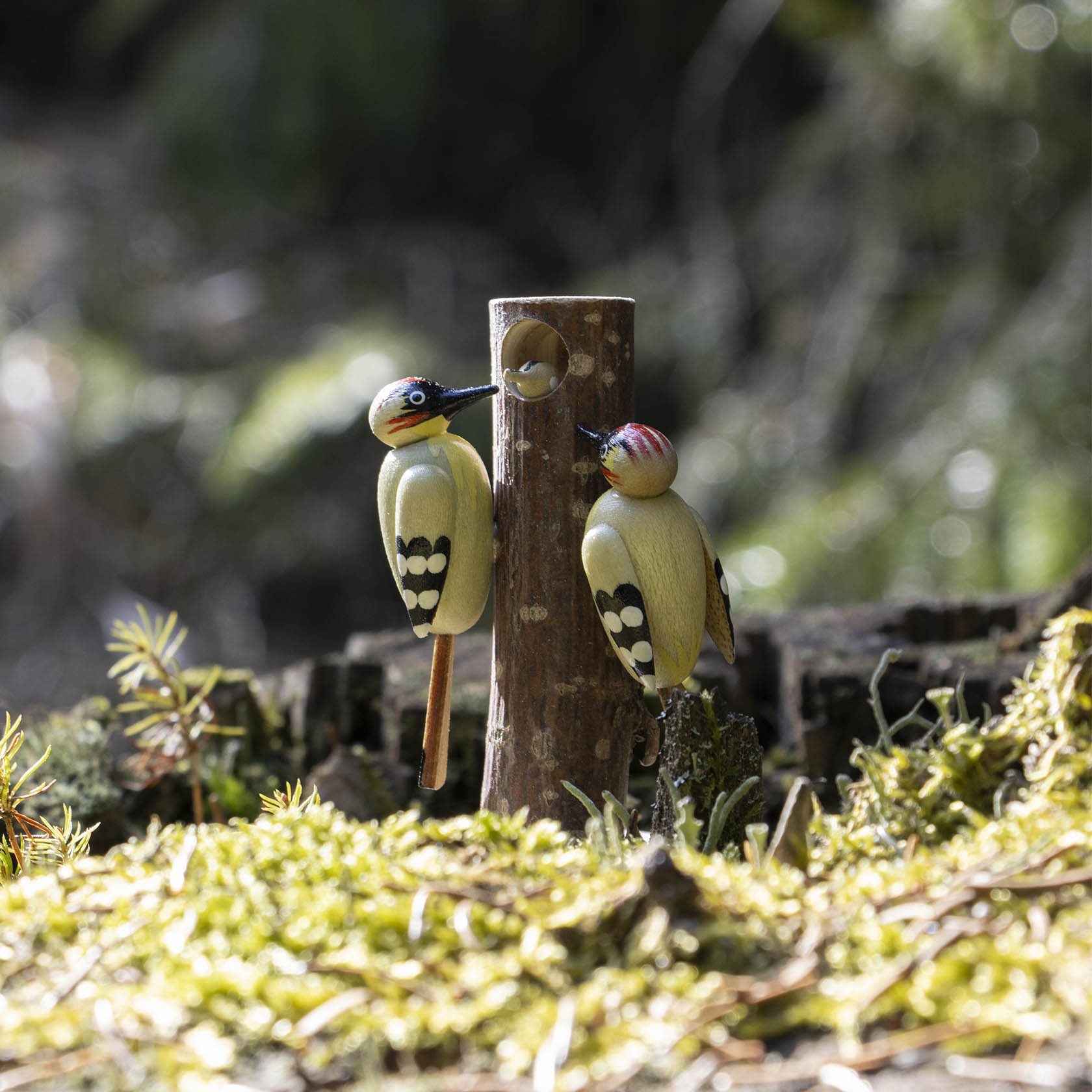 Zwei Grünspechte sitzen an einem kleinen Holzstamm mit einer Höhle. Einer der Spechte hat den Kopf zur Höhle gedreht, als ob er Nahrung gibt.
