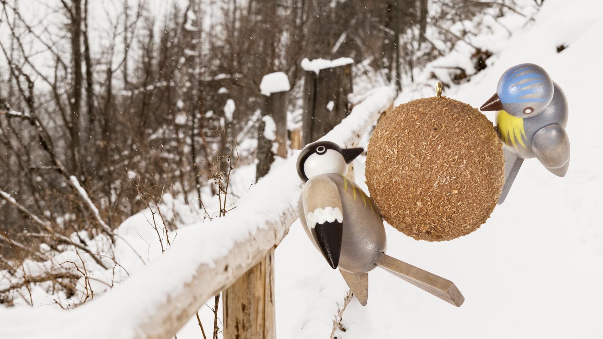 Meisenknödel mit Vogelpaar