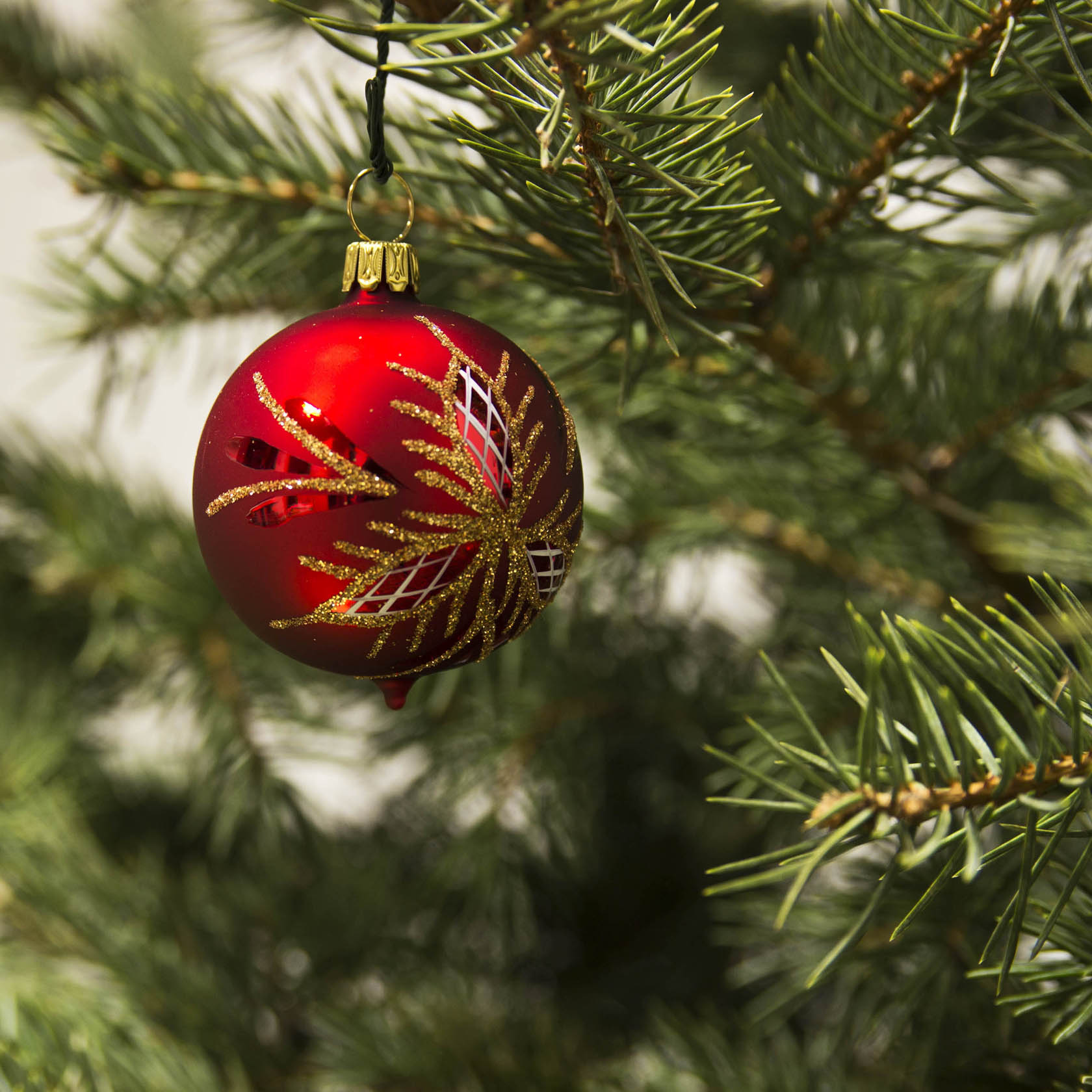 Rote, matte Weihnachtskugel mit Waffelmuster und goldenen Verzierungen an einem grünen Tannenzweig.