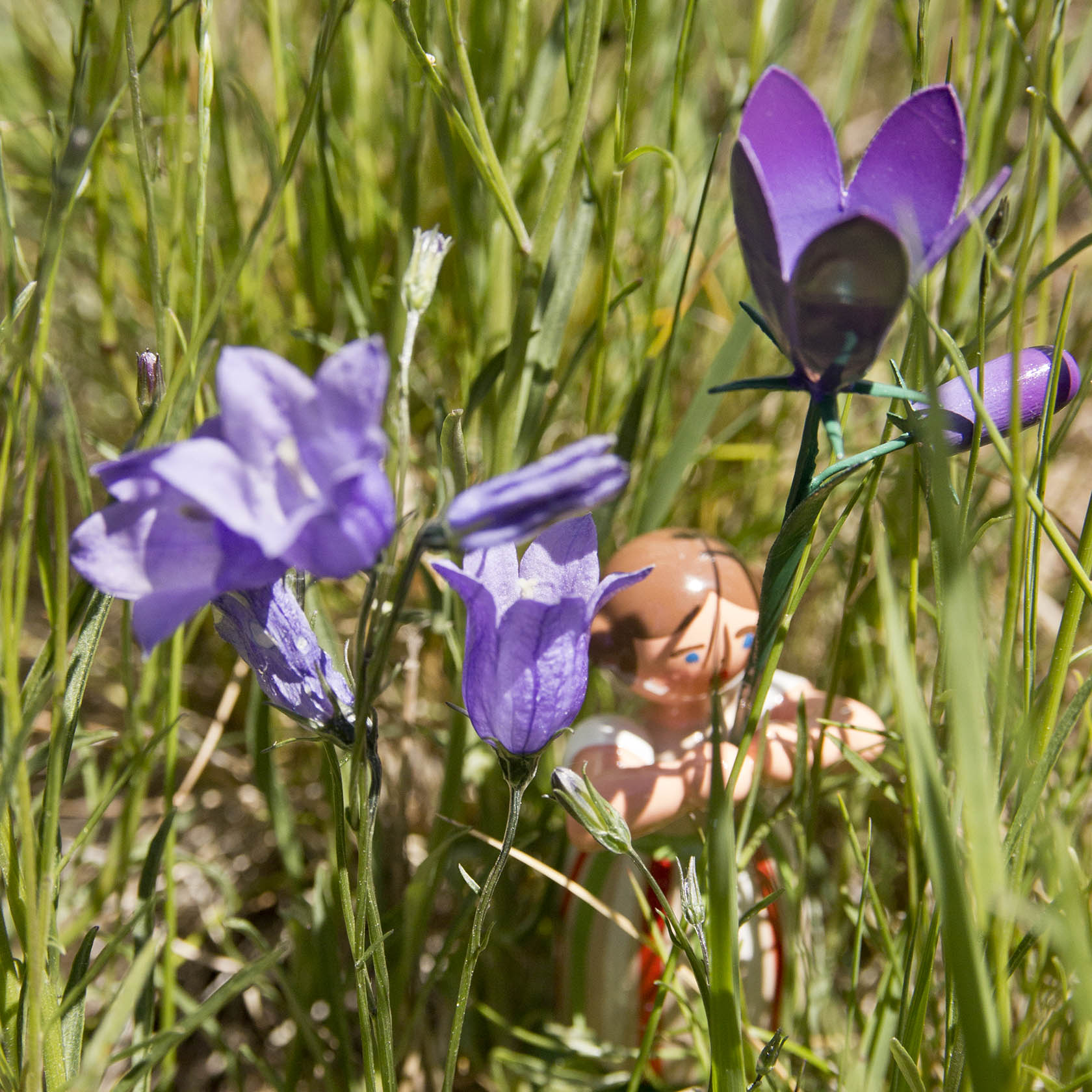 Eine kleine Holzfigur eines Mädchens steht zwischen grünen Grashalmen und lila Glockenblumen. Das Mädchen hält die Blumen, die den Vordergrund dominieren.