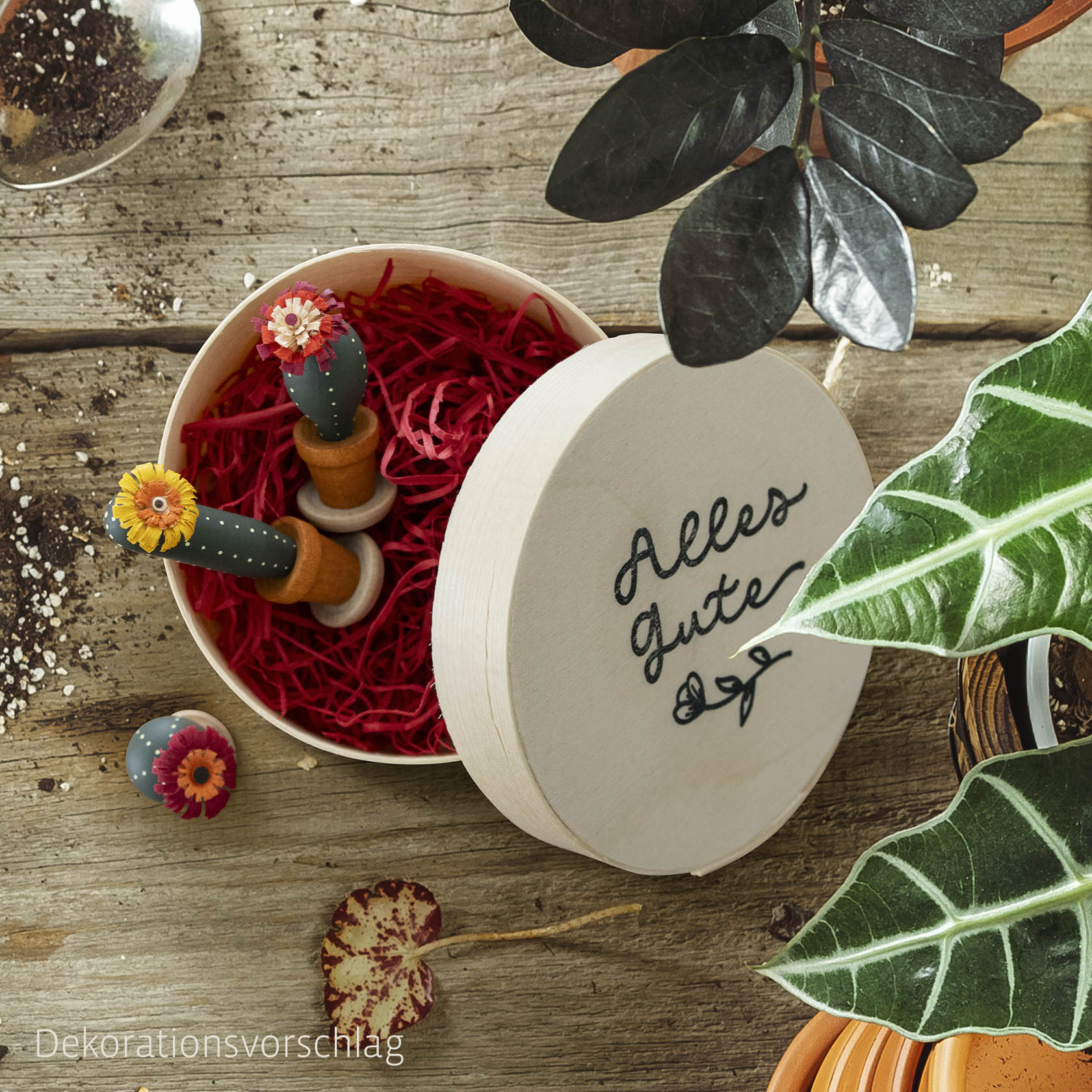 Drei Mini-Kakteen mit roten Kunstblumen in einer runden Spandose mit Aufschrift 'Alles Gute', umgeben von Holzdekor. im Dregeno Online Shop günstig kaufen