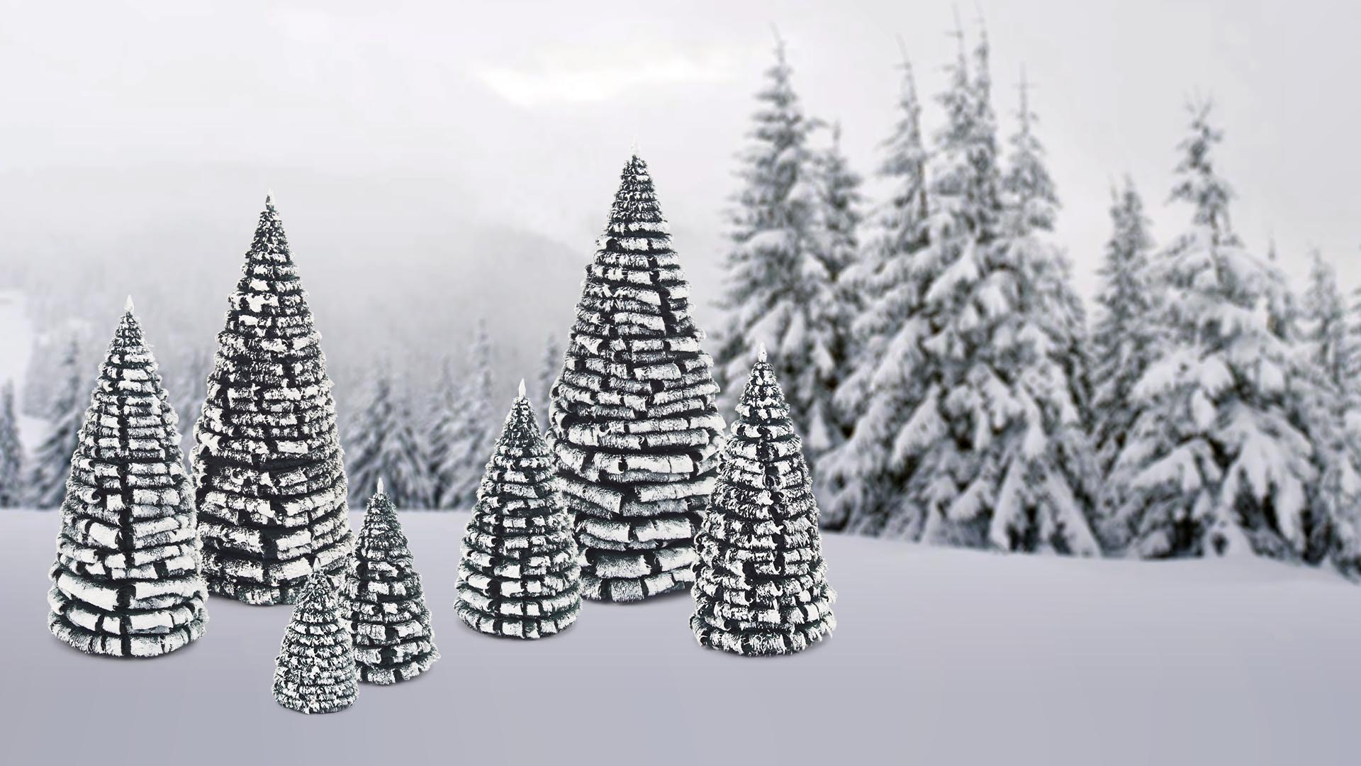 Winterbäume mit Schnee