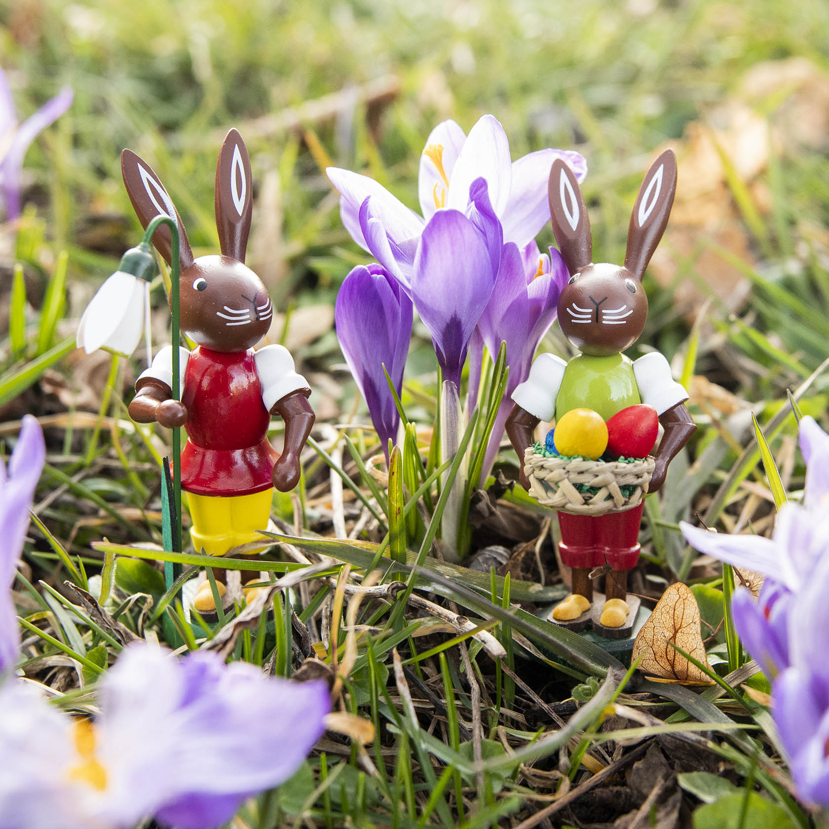 Zwei Osterhasen-Figuren auf einer Wiese mit lila Krokussen. Der rechte Hase hält einen Korb mit bunt bemalten Ostereiern.
