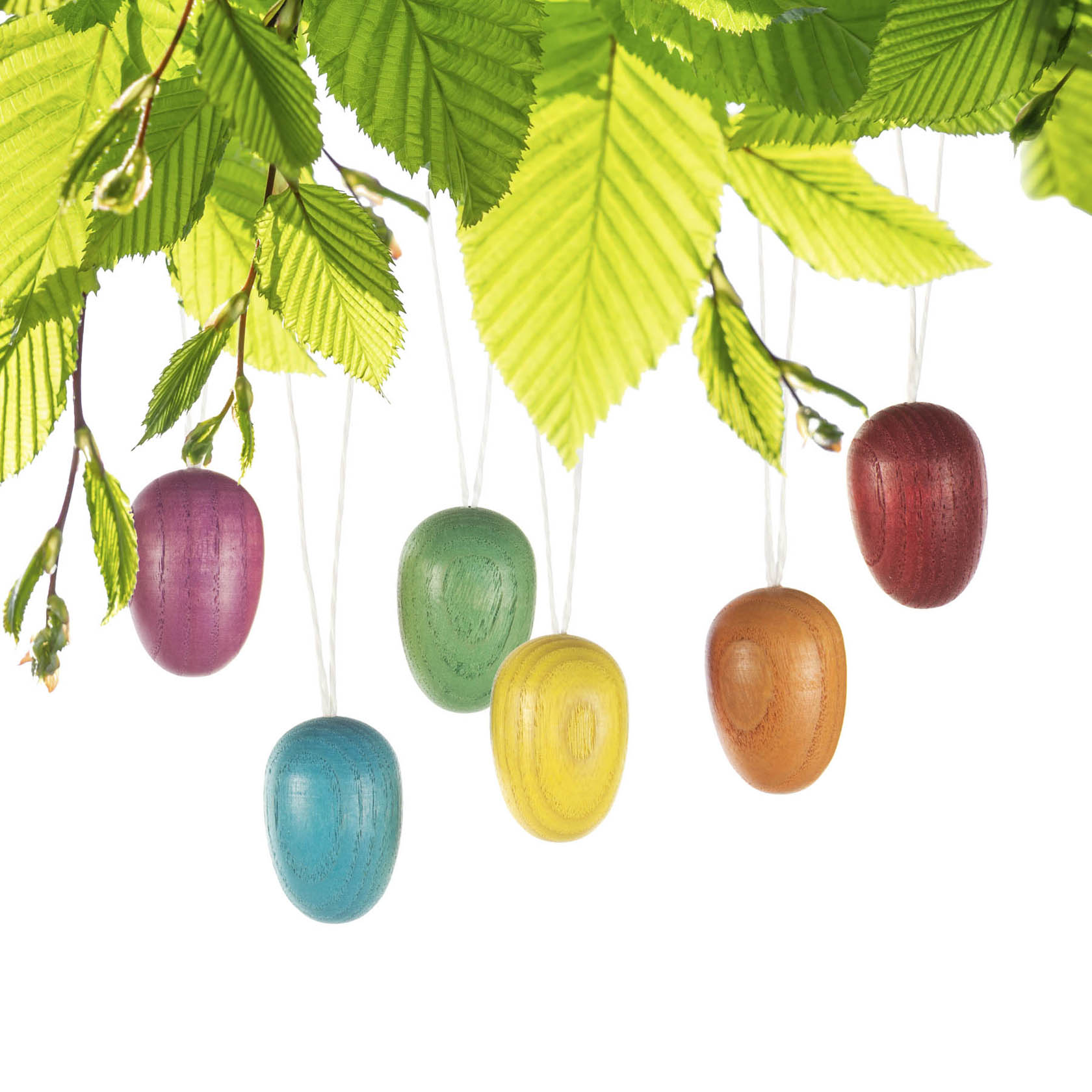 Six colorful, hanging Easter eggs attached to a branch with green leaves.