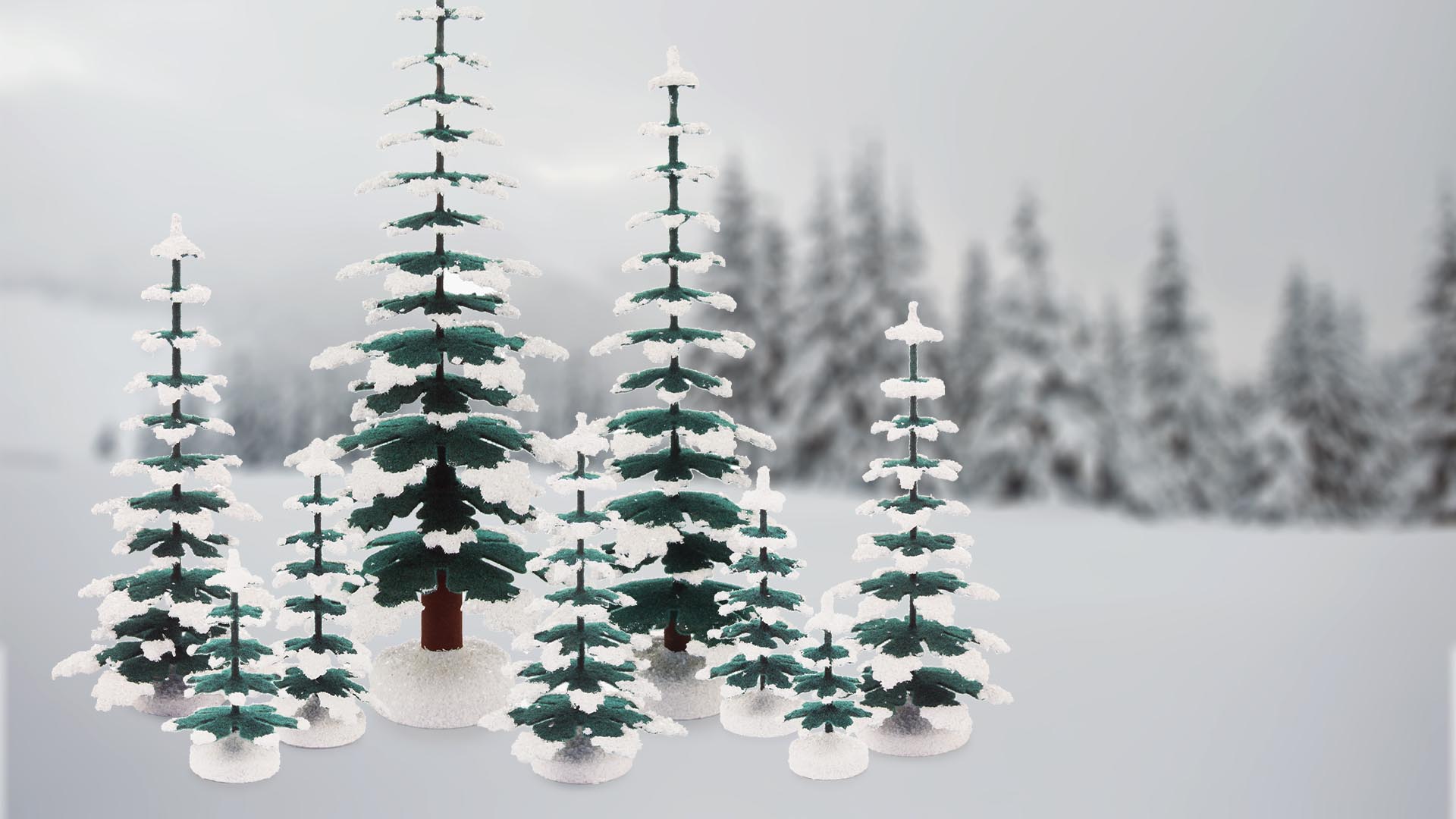 Fichten mit Schnee