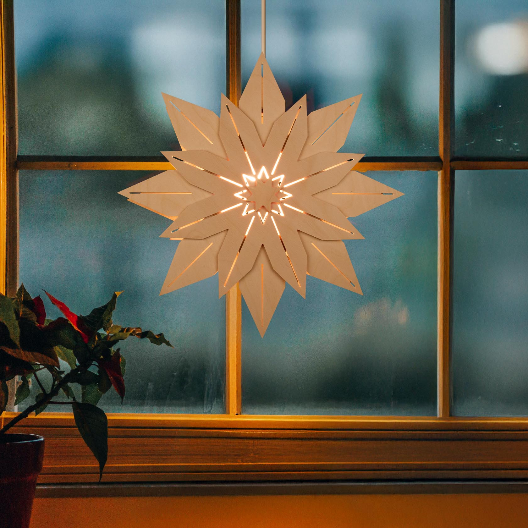 Ein weißer, beleuchteter Weihnachtsstern aus Papier hängt beleuchtet vor einem Fenster. Im Vordergrund ist eine Pflanze sichtbar.
