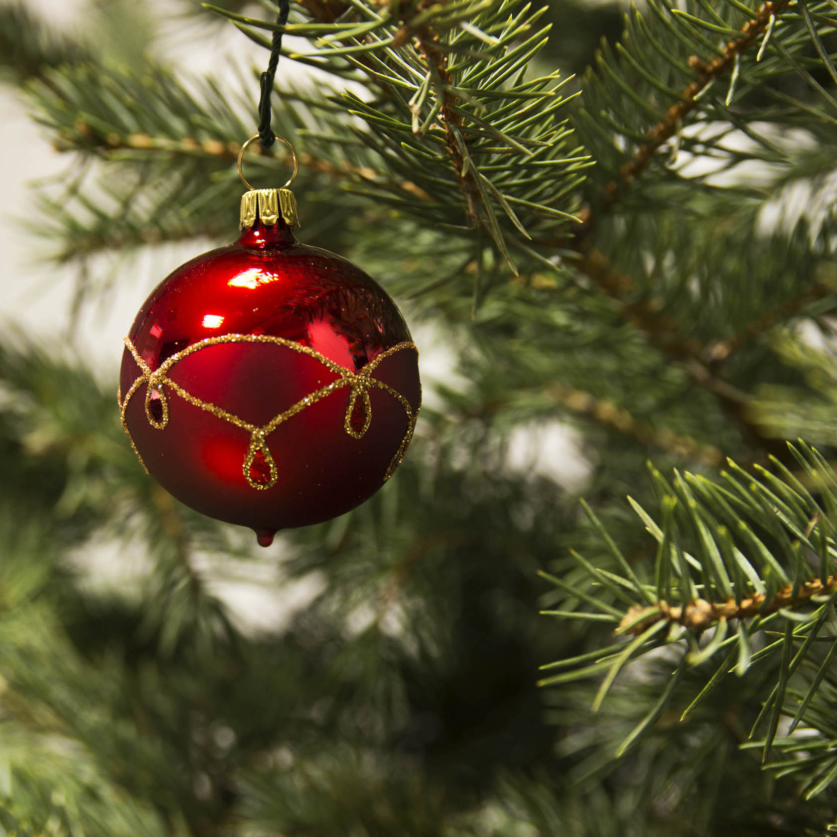 Rote matte Christbaumkugel mit goldenen Tropfenmustern, hängend an einem Tannenzweig.