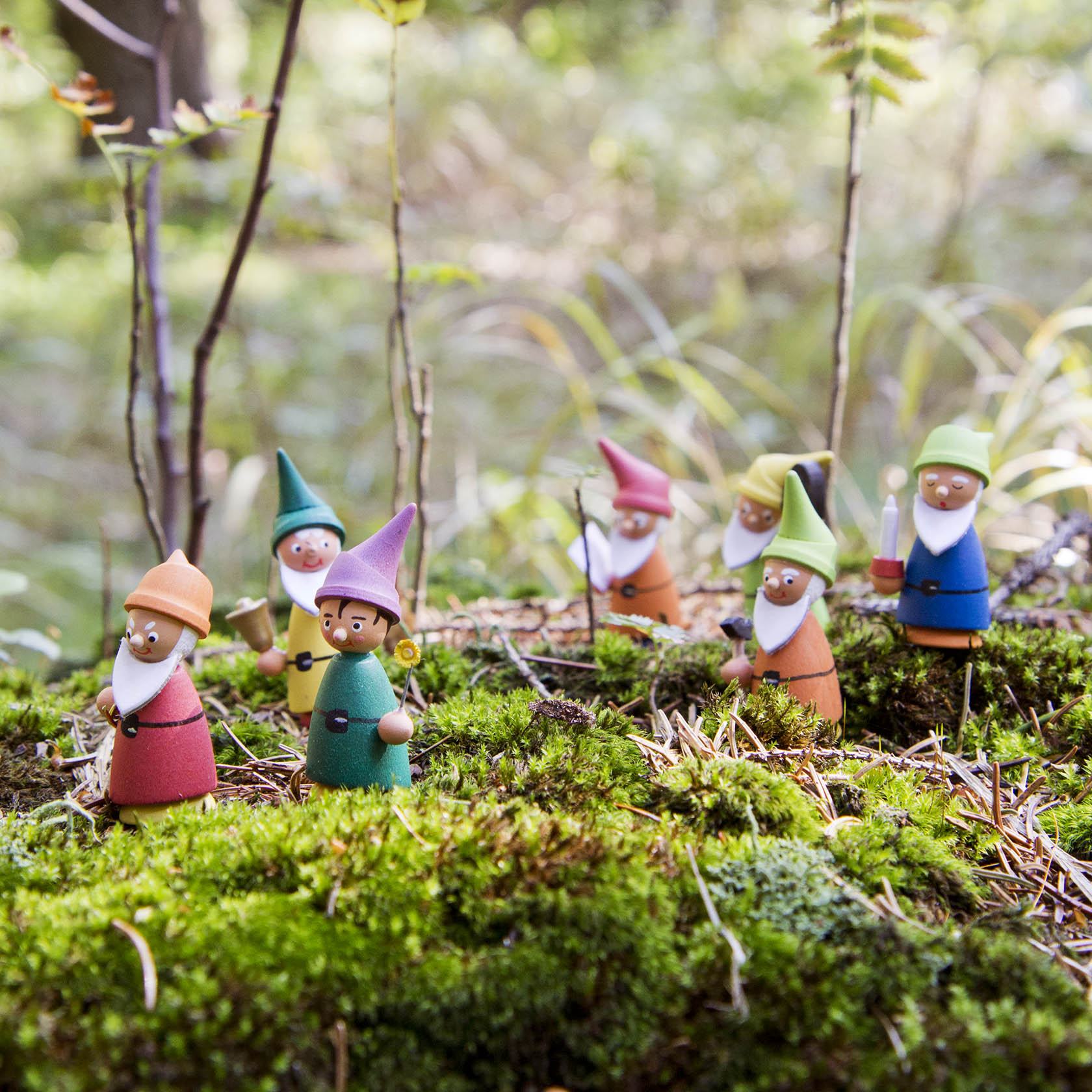 Seven colorful garden gnomes with different hats and outfits are placed on a mossy forest ground.