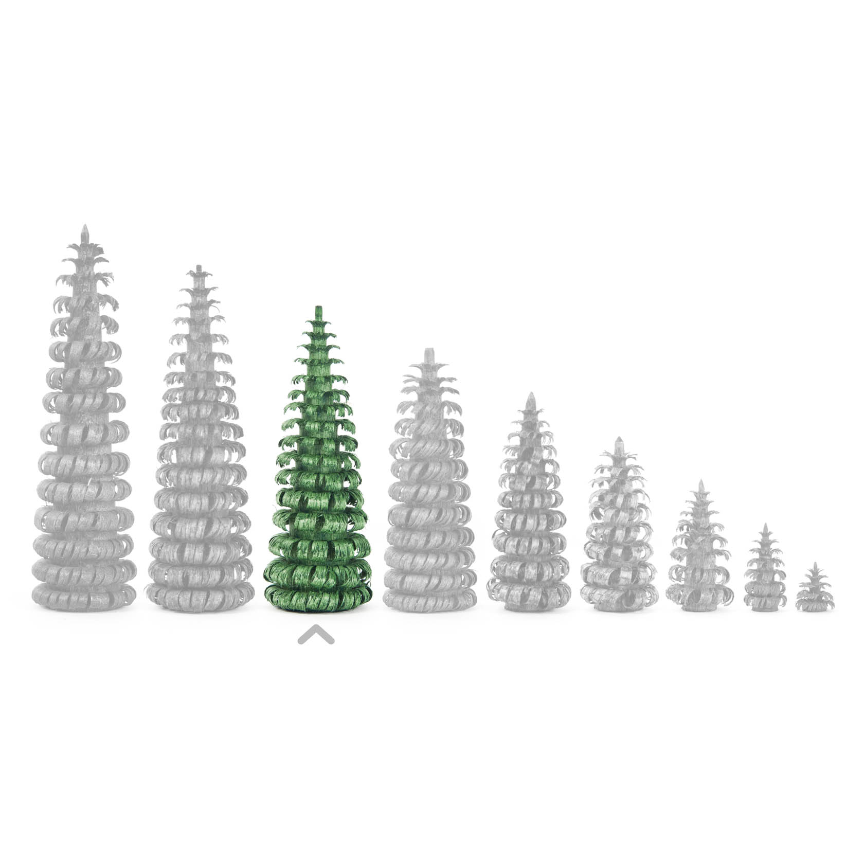Eine Reihe von Ringelbäumen, der dritte Baum von links ist 7 cm groß und grün hervorgehoben.