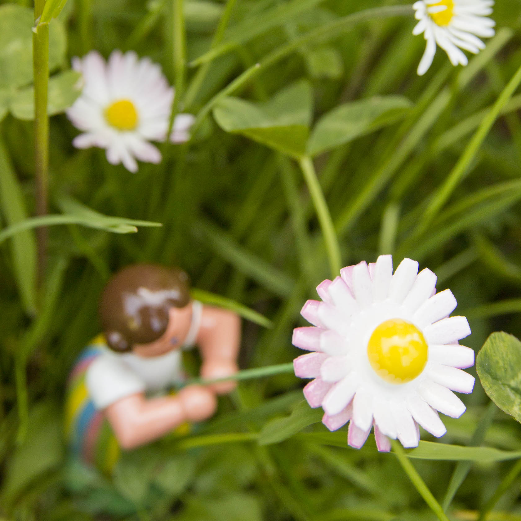 Spielfiguren-Mädchen im Gras, hält eine große Gänseblume mit gelber Mitte und weißen Blütenblättern in der Hand.