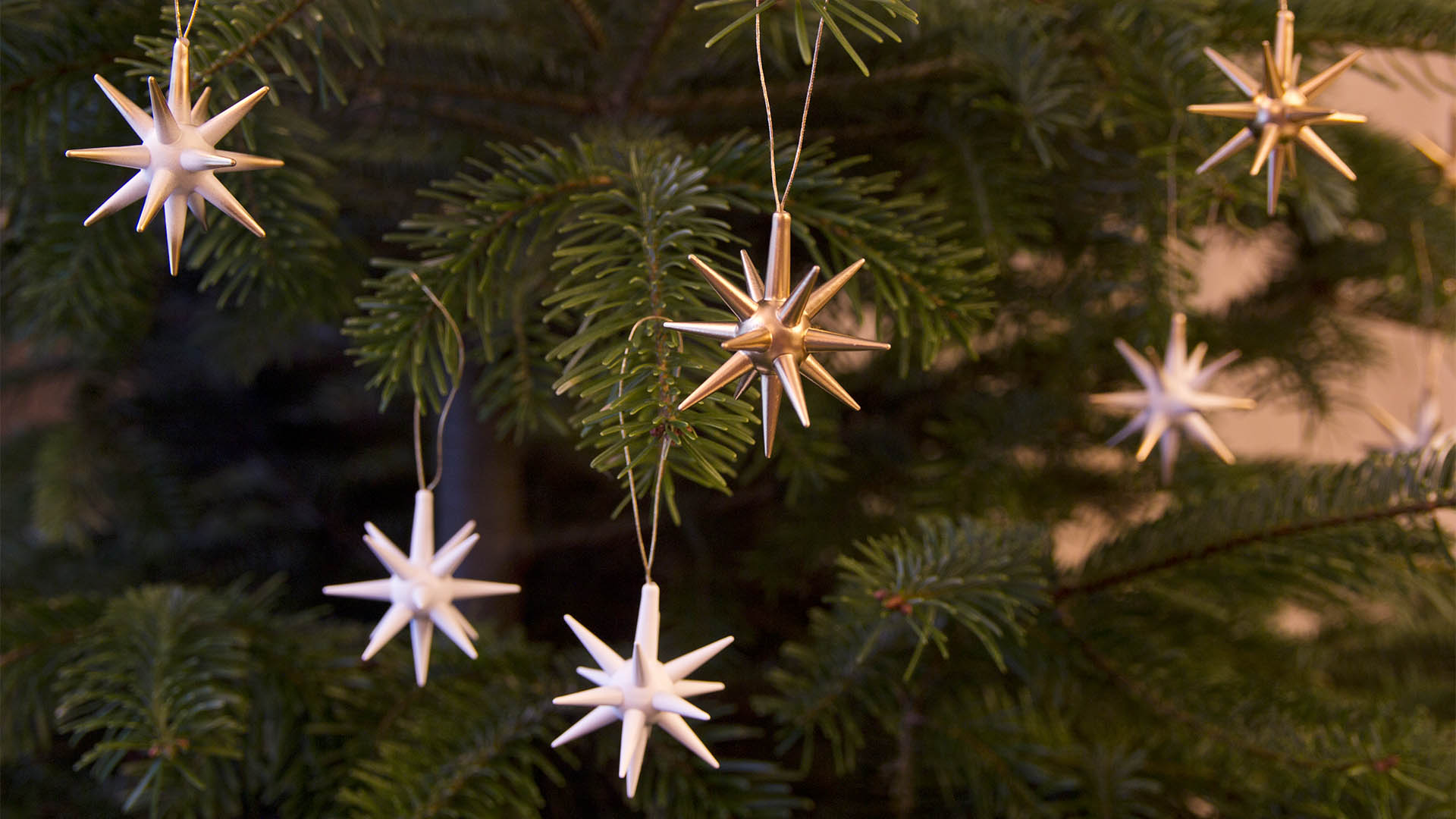 Baumschmuck Sterne in weiß und gold