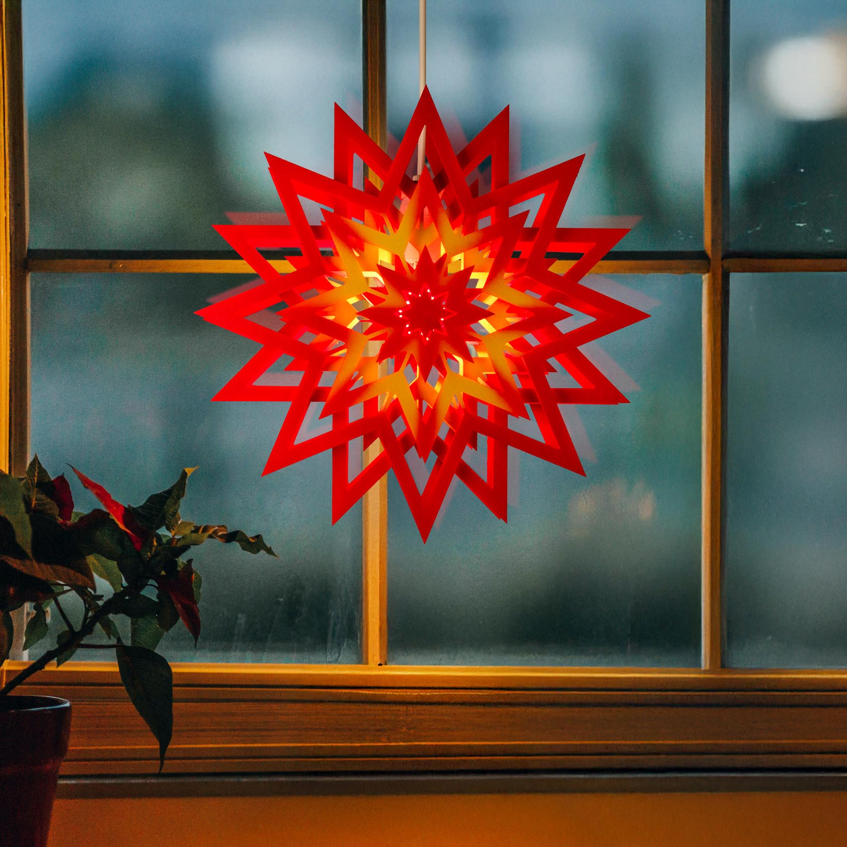 Ein roter und gelber Weihnachtsstern aus Papier mit elektrischer Beleuchtung hängt in einem Fenster. Links im Vordergrund steht ein Weihnachtssternpflanze.