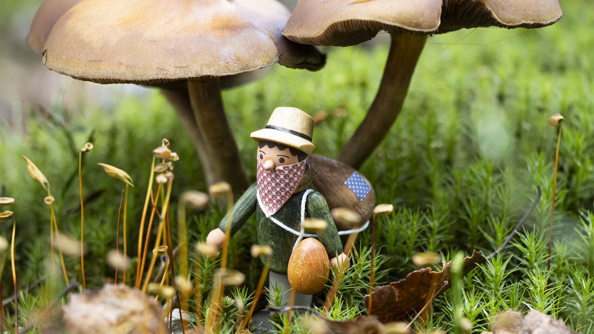 Figur Pascher