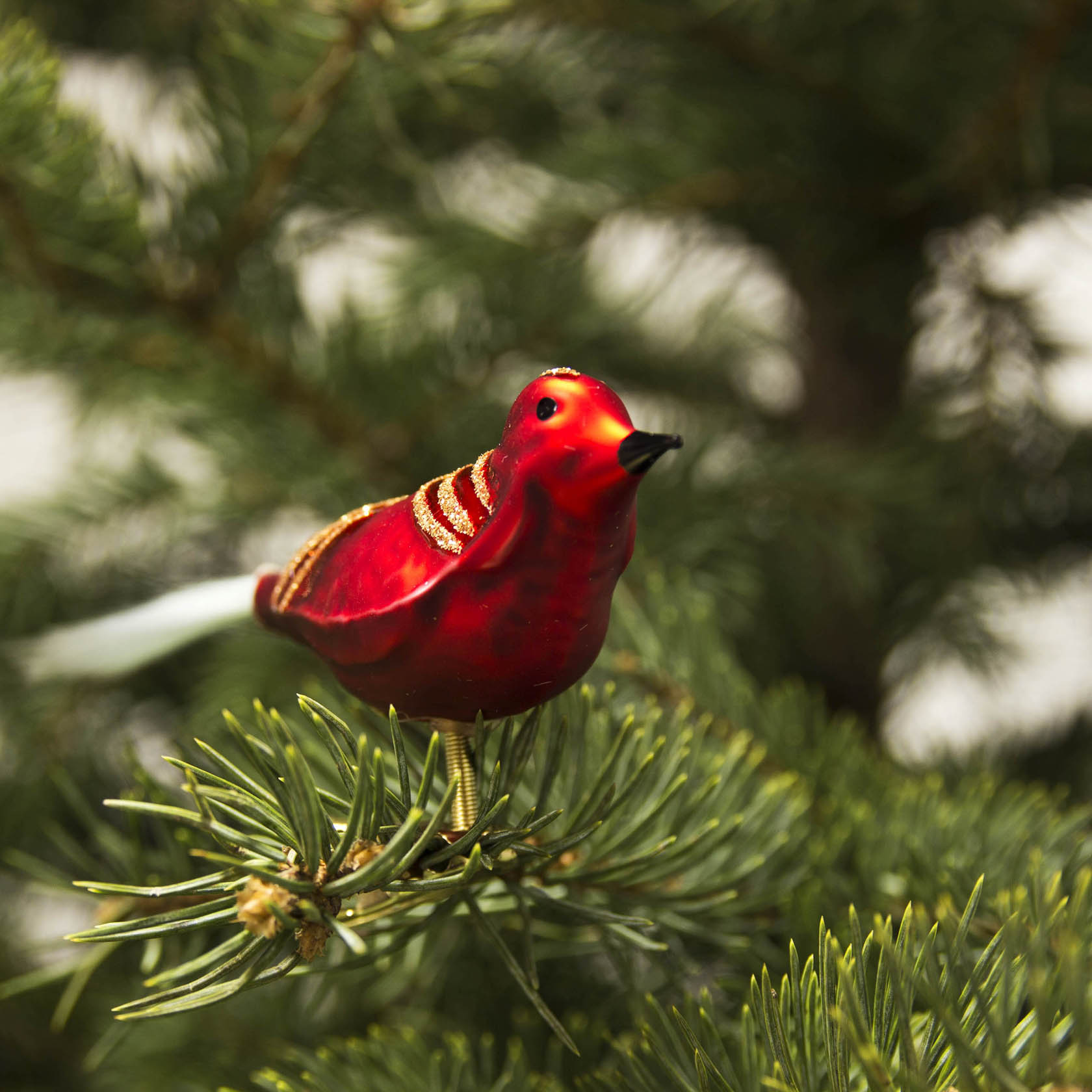 Roter, matter Christbaumschmuck in Form eines Vogels mit glitzerndem Glimmer auf einem Tannenzweig.