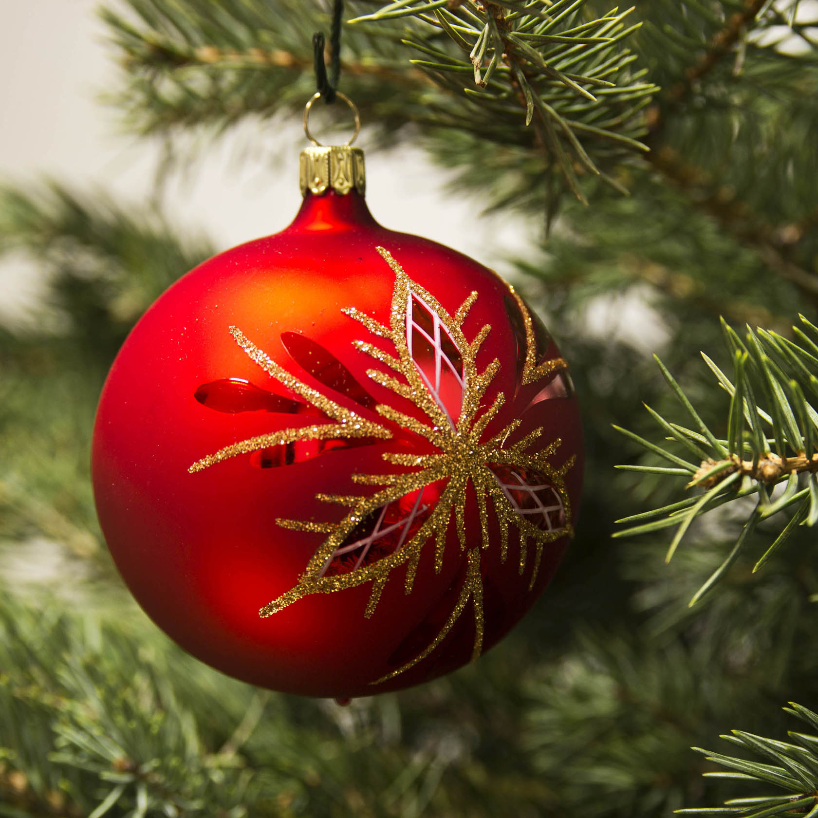 Rote, matte Weihnachtskugel mit goldenem Waffelmuster hängt an einem Tannenzweig.