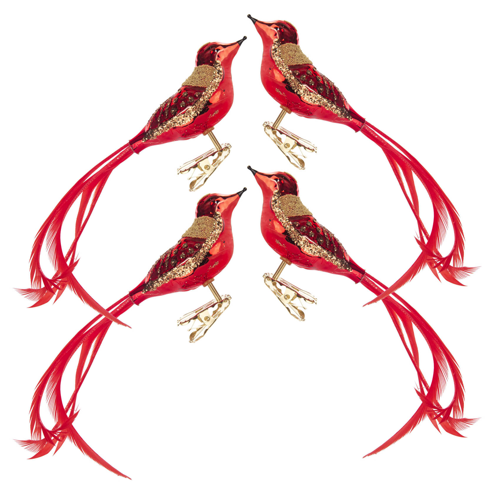 Vier rote und goldene glitzernde Christbaumschmuck-Vögel mit langen Schwanzfedern. im Dregeno Online Shop günstig kaufen
