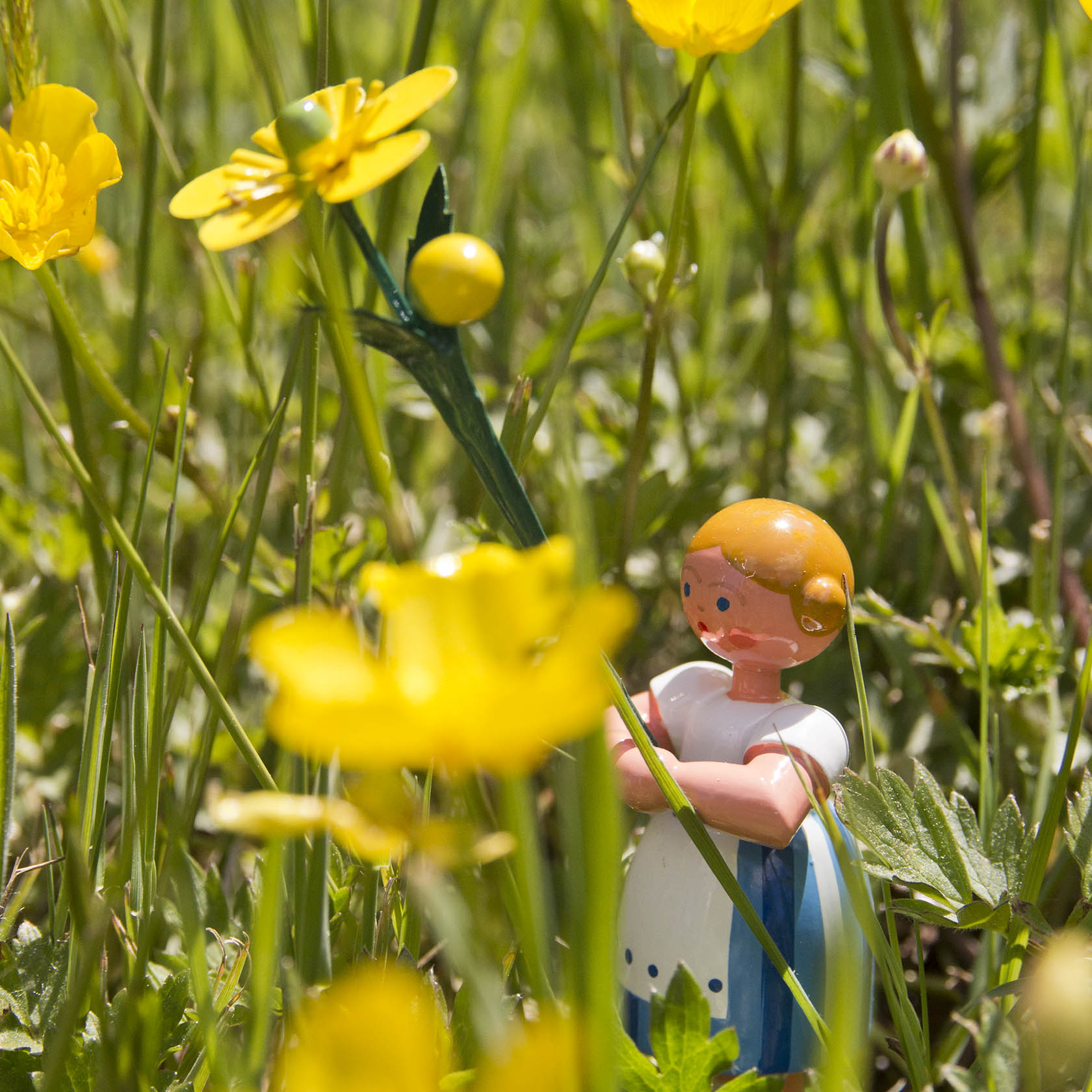 Eine kleine Figur eines Mädchens in weiß-blauem Kleid hält eine große Butterblume in einem Feld mit weiteren gelben Butterblumen.