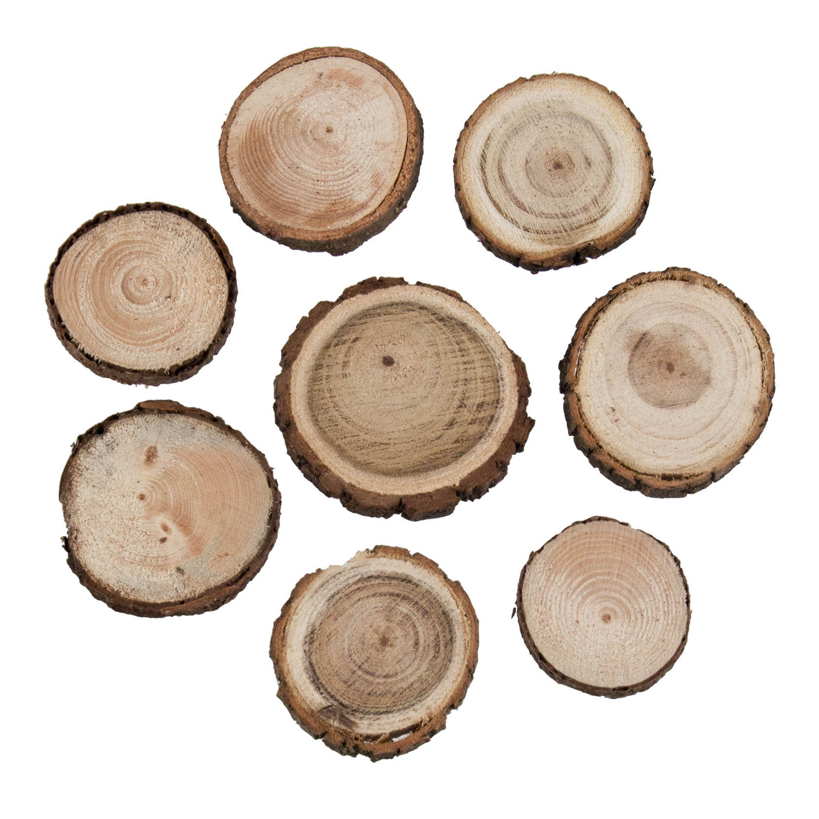 Neun runde Pinienscheiben mit verschiedenen Durchmessern zwischen 3-5 cm, die Holzmaserungen und unterschiedliche Rindenstrukturen zeigen.