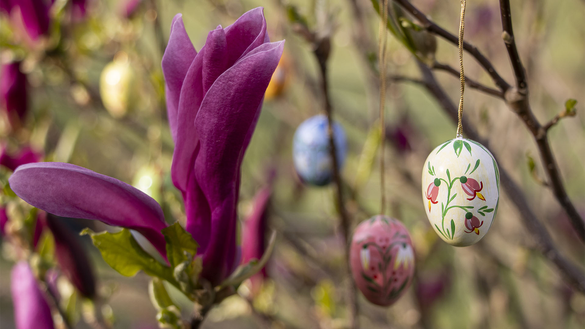 Ostereier mit Blumenmotiven am Strauch