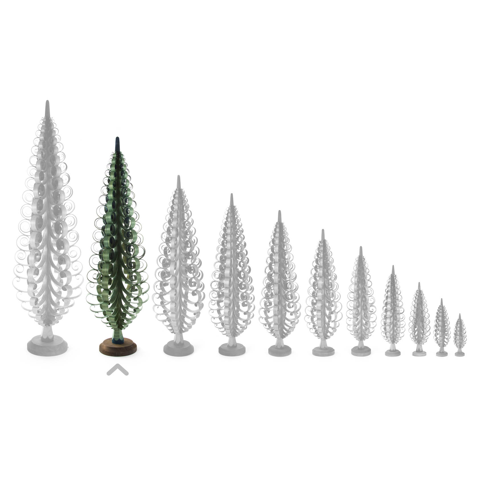 A green Spanbaum tree, 60 cm tall, placed among several smaller white Spanbaum trees arranged in a row.