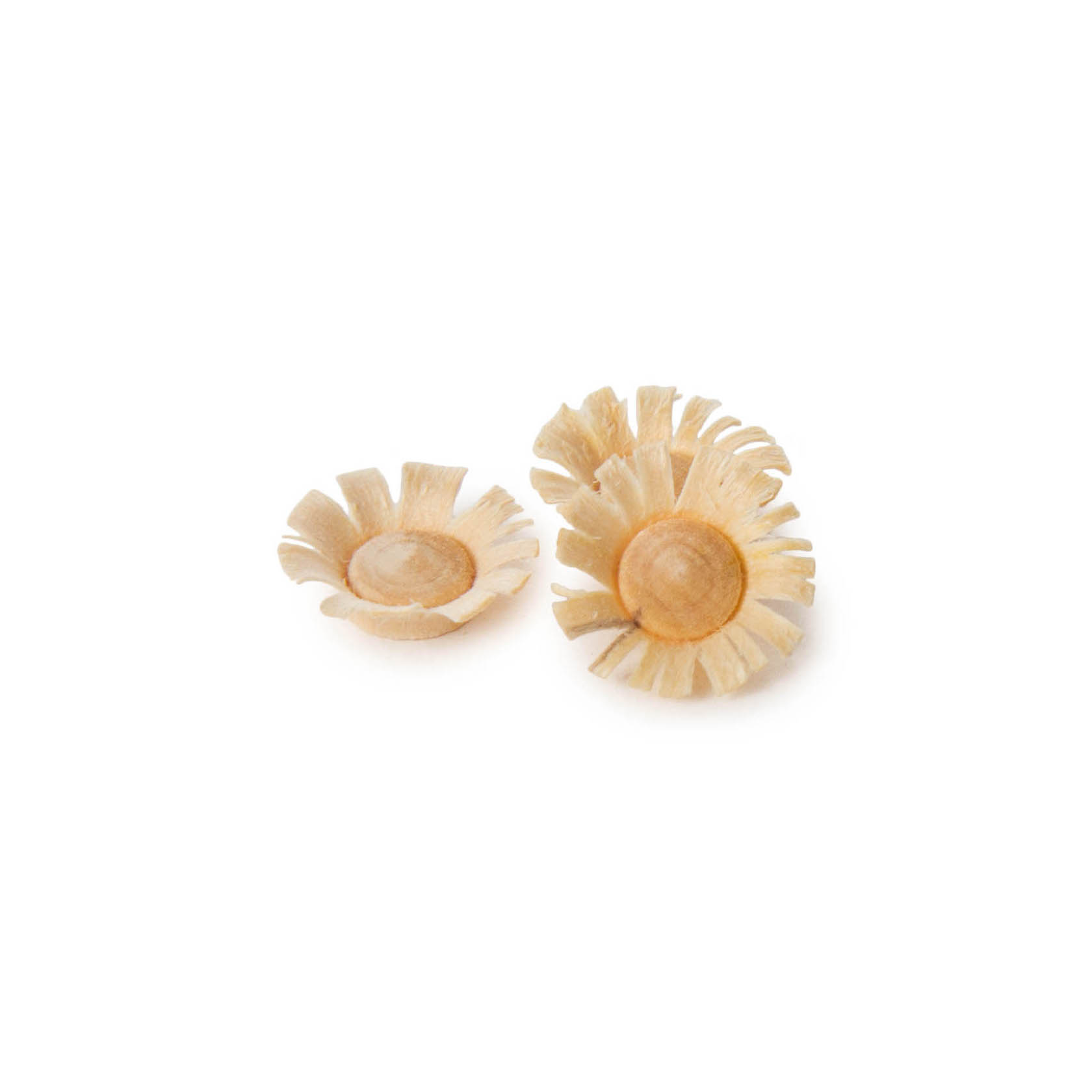 Zwei kleine, künstliche Blüten aus hellem Material mit leicht gebogenen Blütenblättern und einem runden, leicht erhabenen Zentrum. im Dregeno Online Shop günstig kaufen