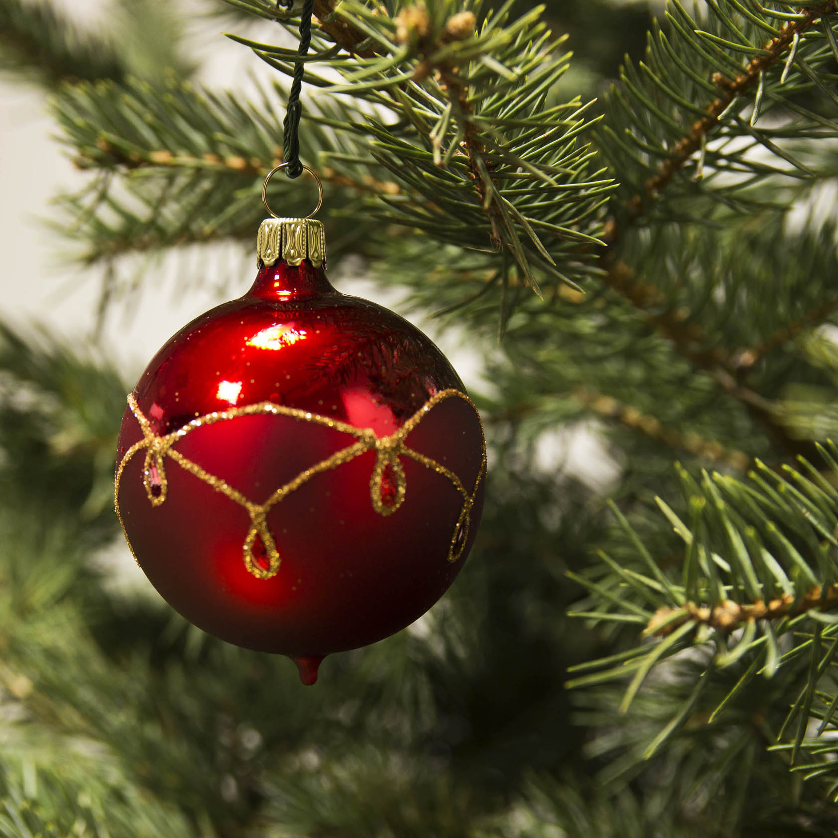 A 6cm red matte Christmas ornament with a gold drop pattern hanging on a green Christmas tree.